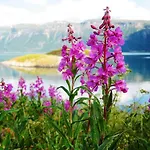 Kirkenes Hotell