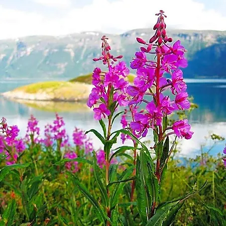 Kirkenes Hotell Hotel 3*
